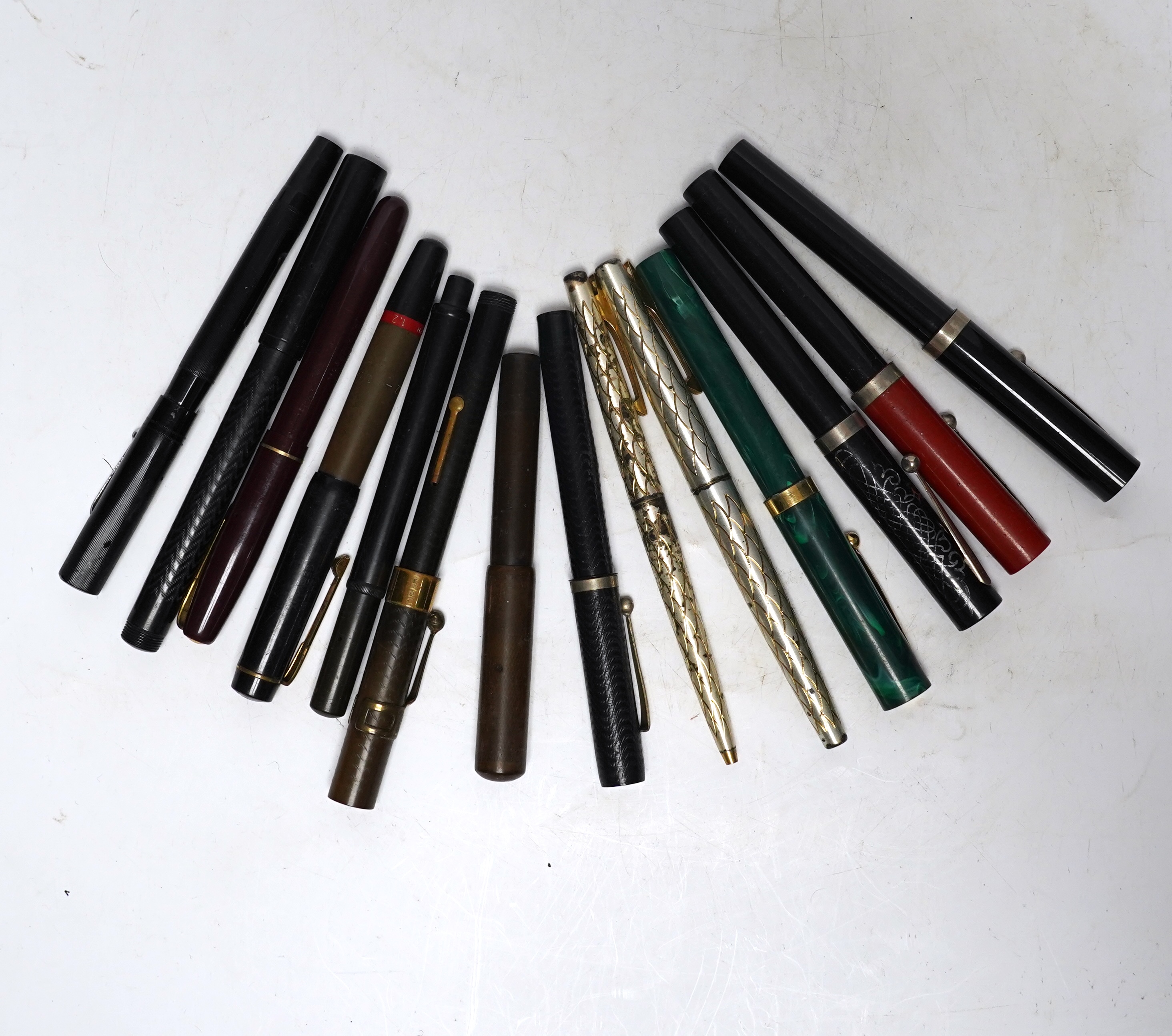 Fourteen assorted fountain pens.